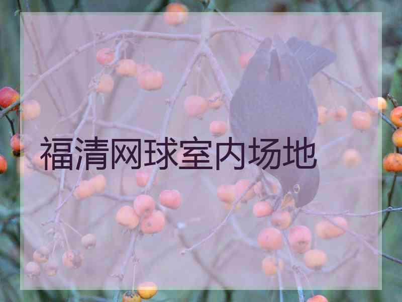 福清网球室内场地 福清网球室内场地