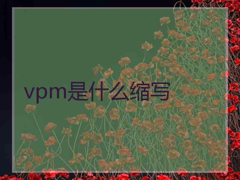 vpm是什么缩写 vpm是什么缩写
