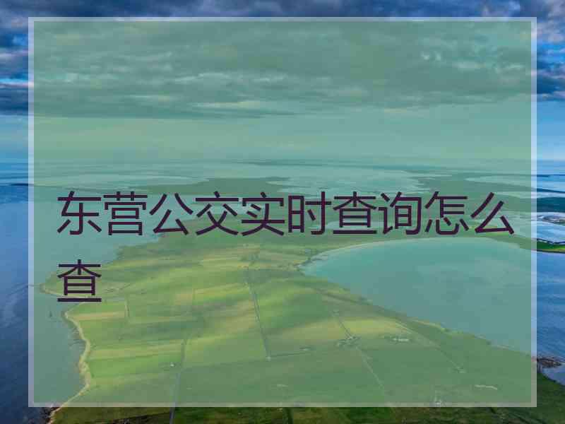 东营公交实时查询怎么查 东营公交实时查询怎么查
