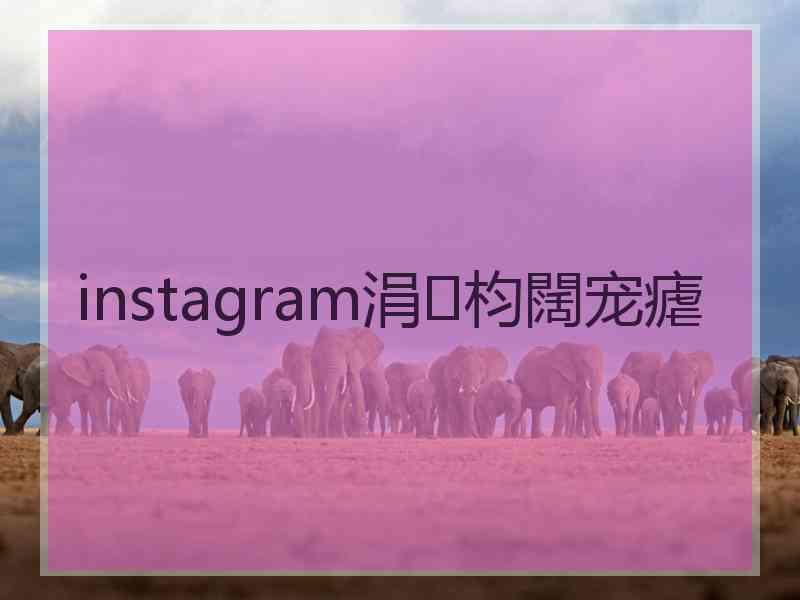 instagram涓枃闊宠瘧 instagram涓枃闊宠瘧