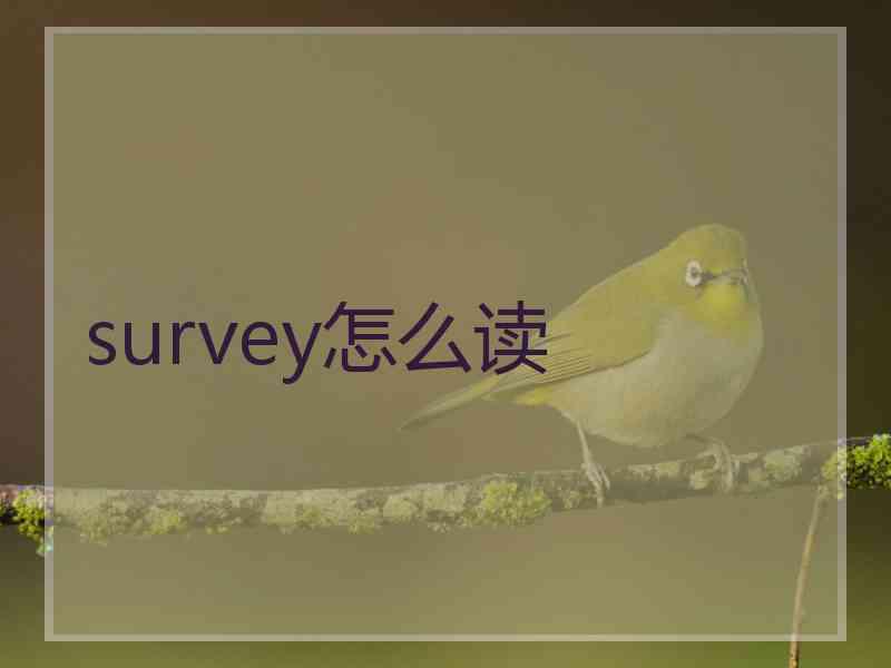 survey怎么读 survey怎么读