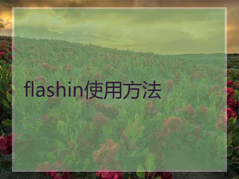 flashin使用方法