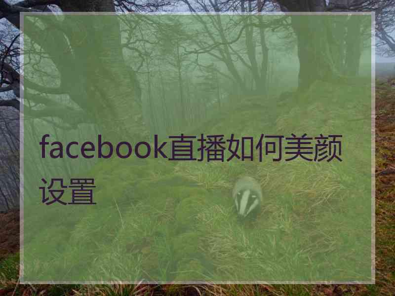 facebook直播如何美颜设置 facebook直播如何美颜设置