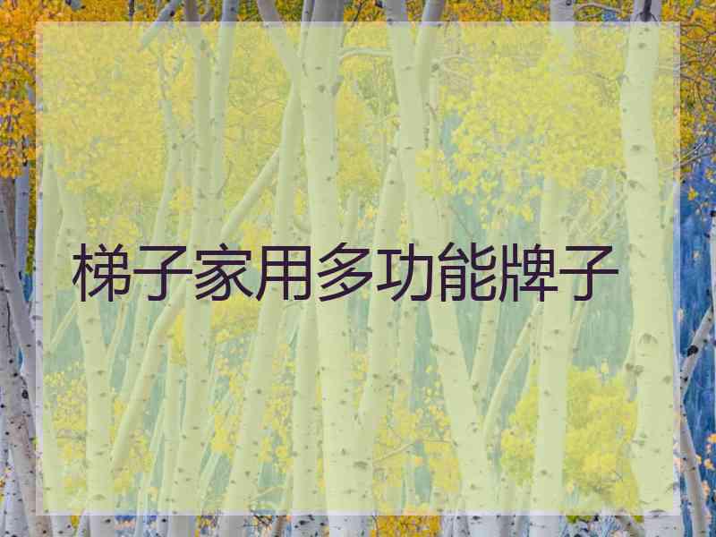 梯子家用多功能牌子 梯子家用多功能牌子