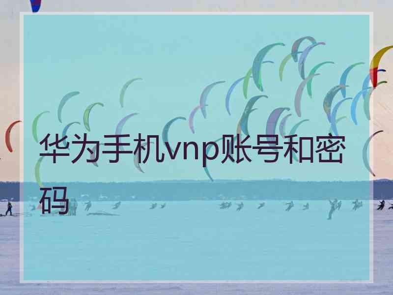 华为手机vnp账号和密码 华为手机vnp账号和密码