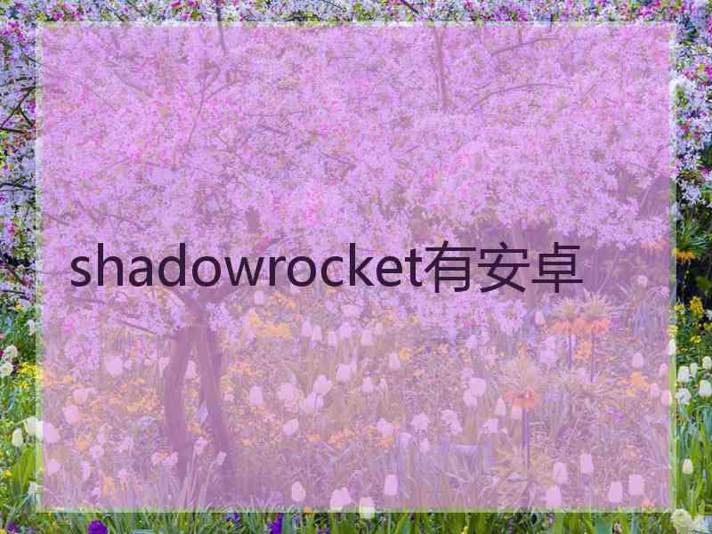 shadowrocket有安卓