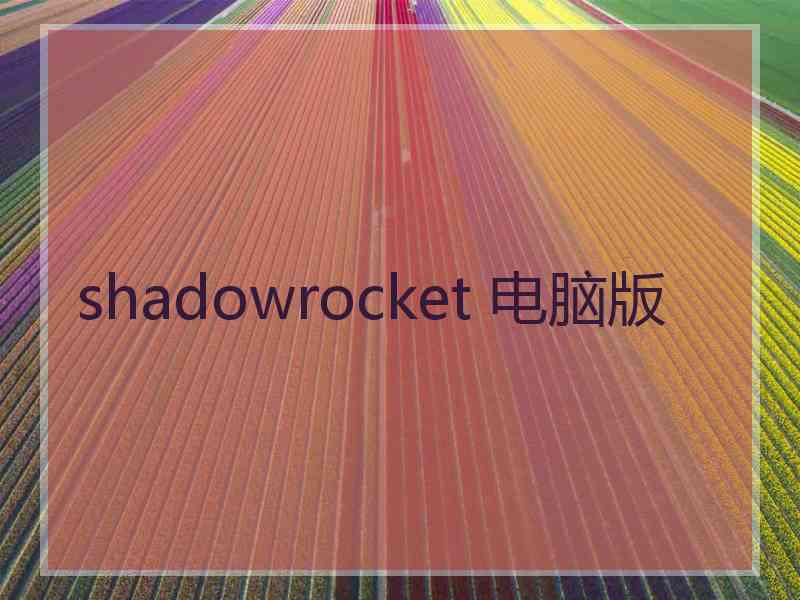 shadowrocket 电脑版
