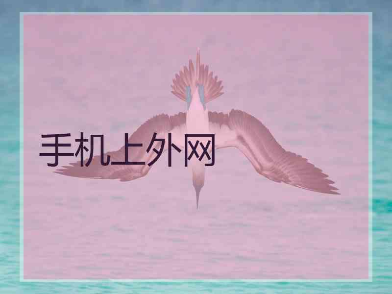 手机上外网 手机上外网