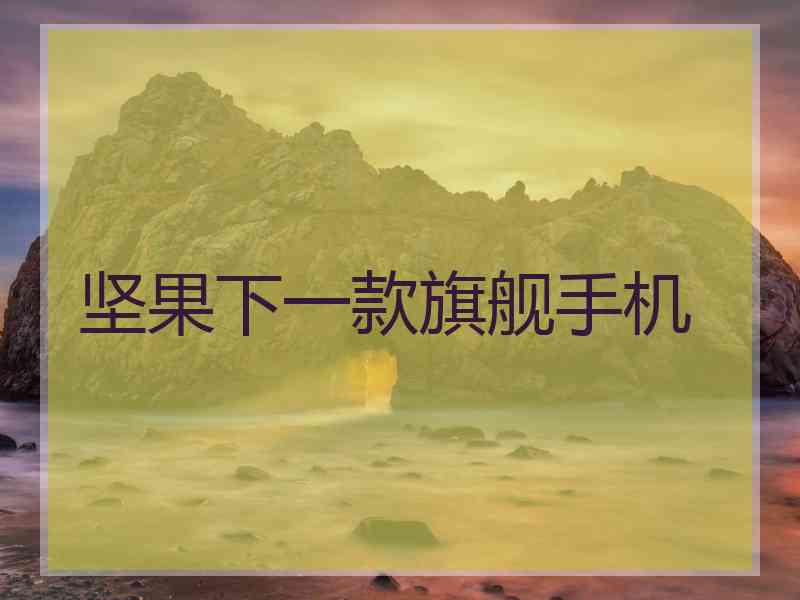 坚果下一款旗舰手机 坚果下一款旗舰手机