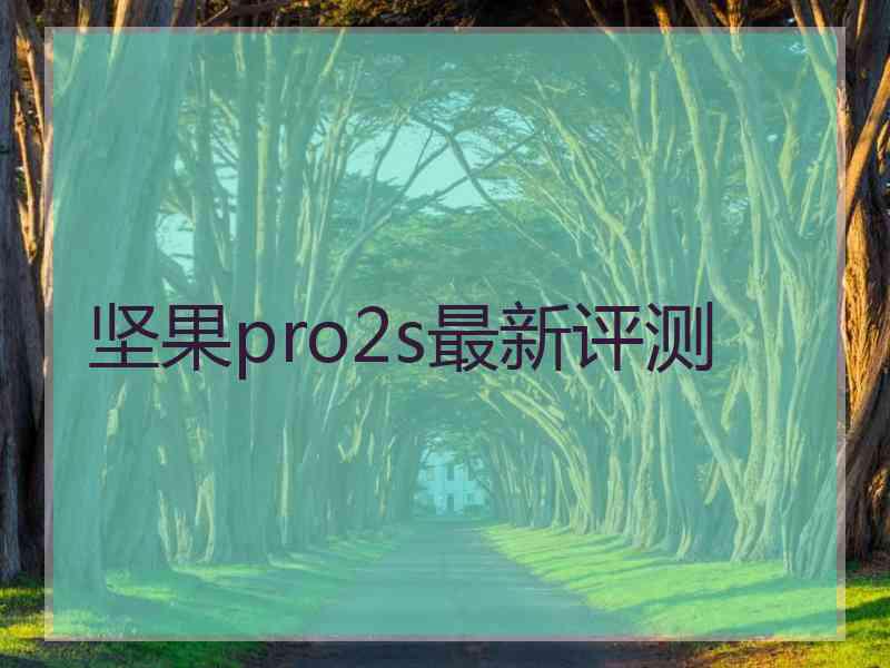 坚果pro2s最新评测 坚果pro2s最新评测