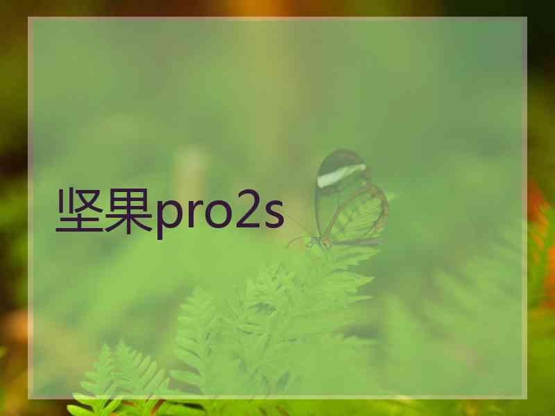 坚果pro2s 坚果pro2s