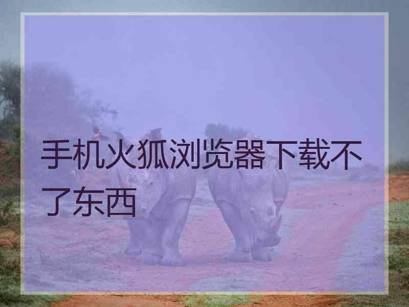 手机火狐浏览器下载不了东西 手机火狐浏览器下载不了东西