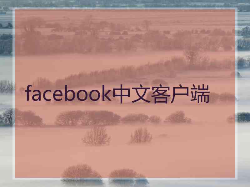 facebook中文客户端