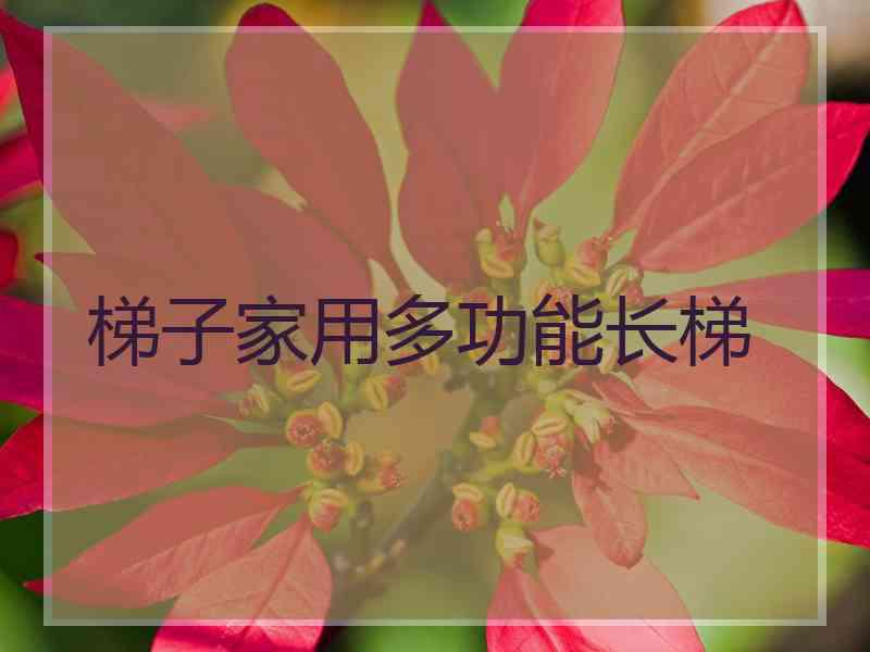 梯子家用多功能长梯 梯子家用多功能长梯