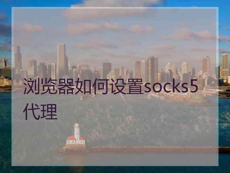 浏览器如何设置socks5代理