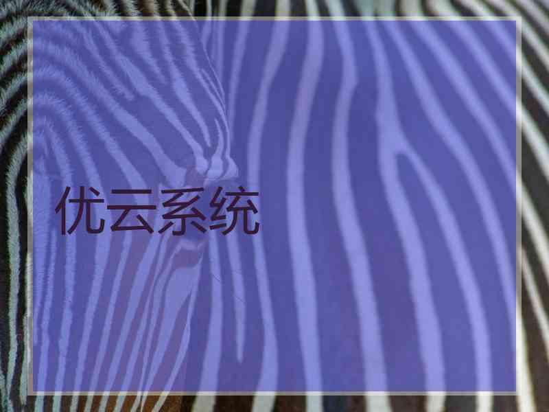 优云系统 优云系统