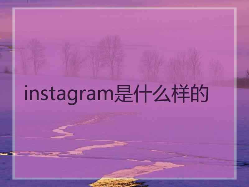 instagram是什么样的 instagram是什么样的