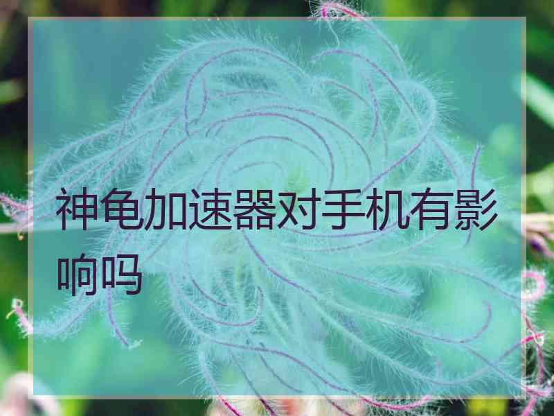 神龟加速器对手机有影响吗 神龟加速器对手机有影响吗
