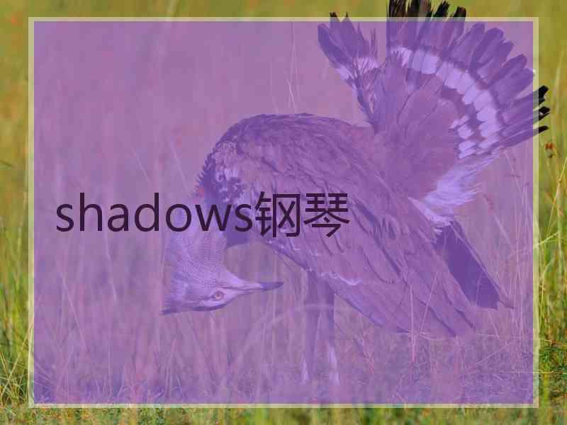 shadows钢琴 shadows钢琴