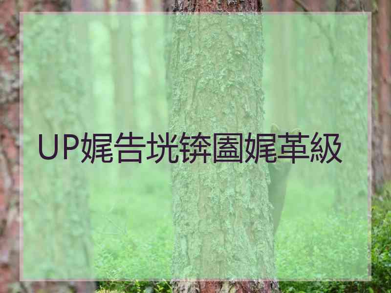 UP娓告垙锛圔娓革級 UP娓告垙锛圔娓革級