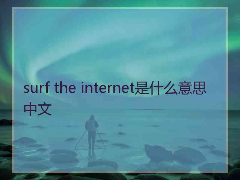 surf the internet是什么意思中文 surf the internet是什么意思中文