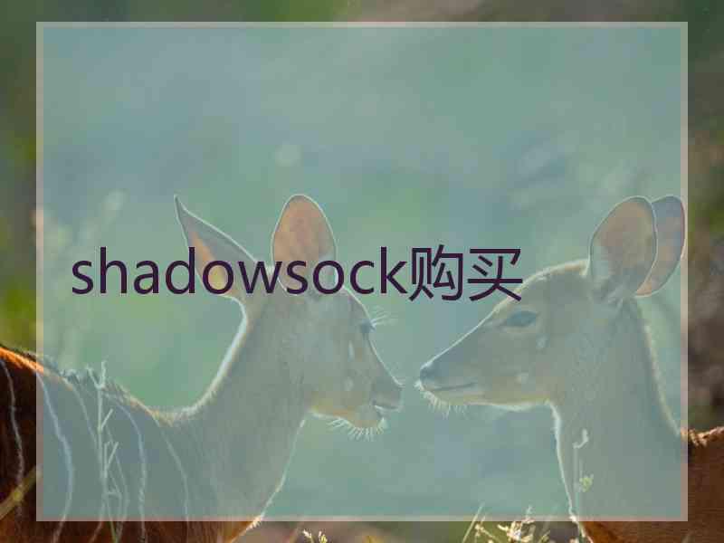 shadowsock购买