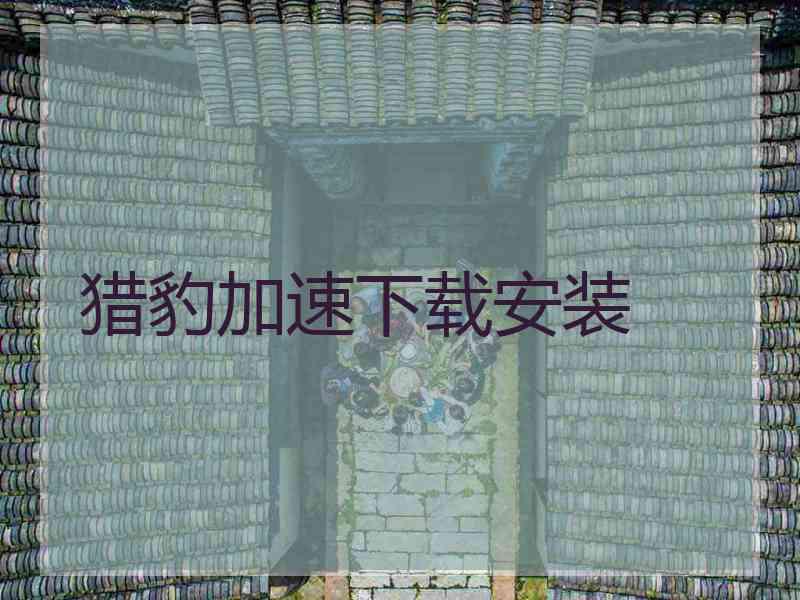 猎豹加速下载安装 猎豹加速下载安装