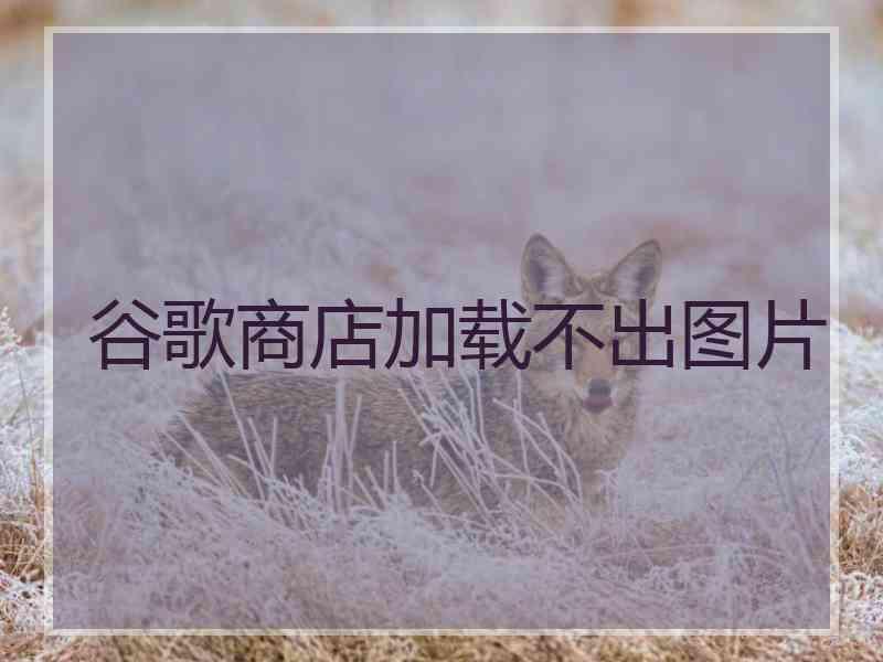 谷歌商店加载不出图片 谷歌商店加载不出图片