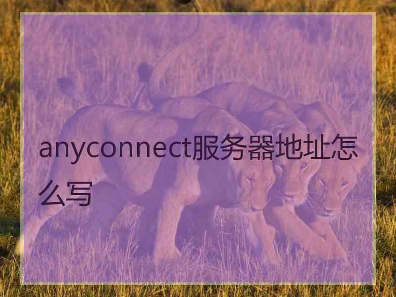 anyconnect服务器地址怎么写 anyconnect服务器地址怎么写