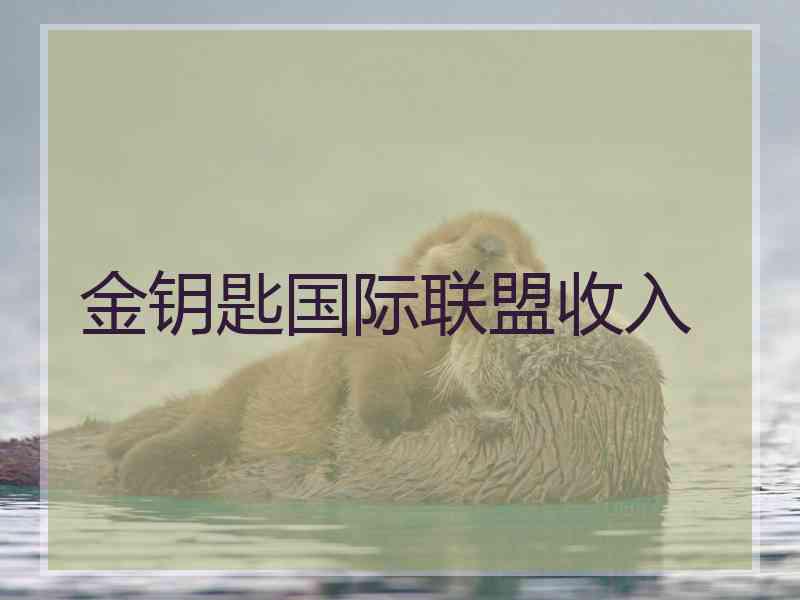 金钥匙国际联盟收入 金钥匙国际联盟收入