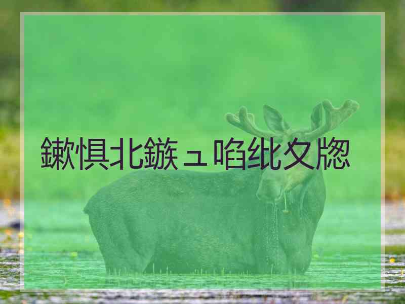 鏉惧北鏃ュ啗纰夊牎 鏉惧北鏃ュ啗纰夊牎