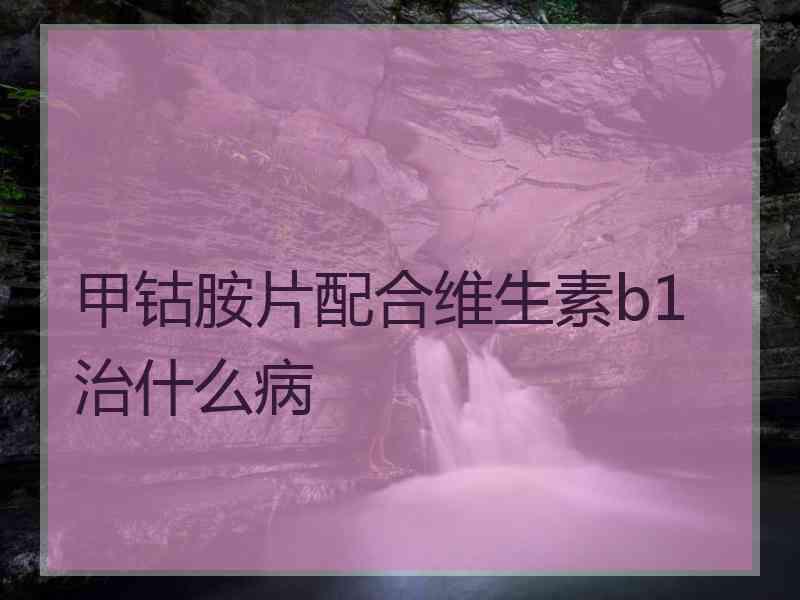 甲钴胺片配合维生素b1治什么病 甲钴胺片配合维生素b1治什么病