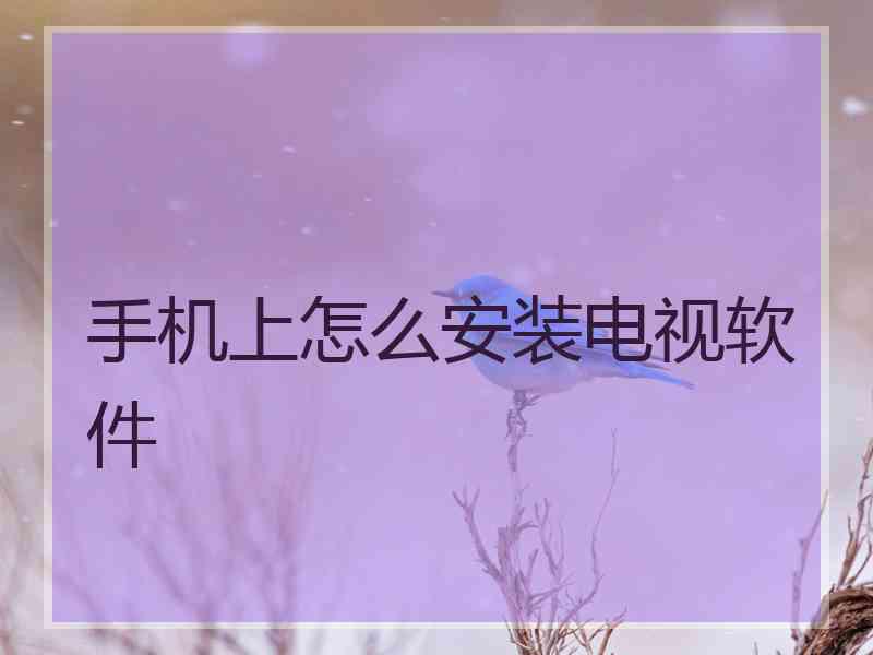 手机上怎么安装电视软件 手机上怎么安装电视软件