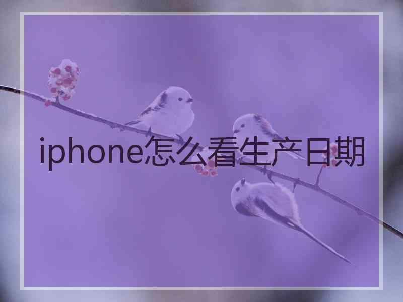 iphone怎么看生产日期 iphone怎么看生产日期