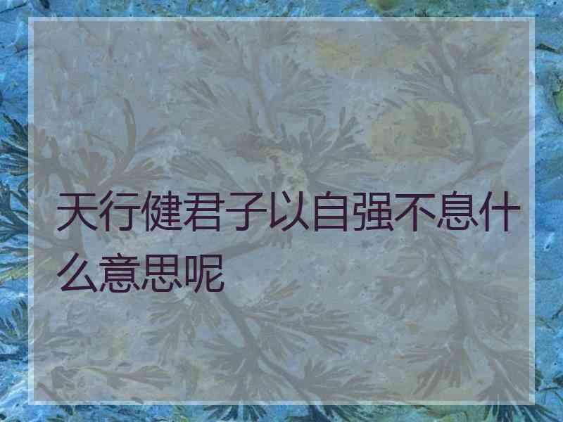 天行健君子以自强不息什么意思呢 天行健君子以自强不息什么意思呢