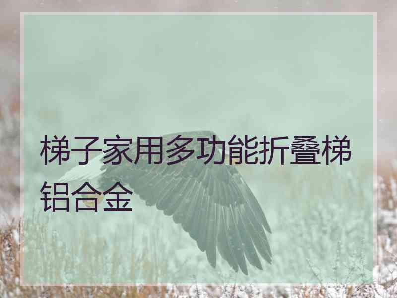 梯子家用多功能折叠梯铝合金 梯子家用多功能折叠梯铝合金