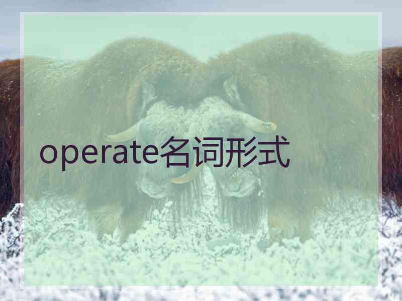 operate名词形式 operate名词形式