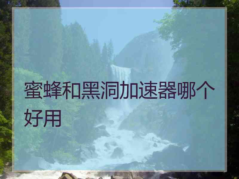 蜜蜂和黑洞加速器哪个好用 蜜蜂和黑洞加速器哪个好用