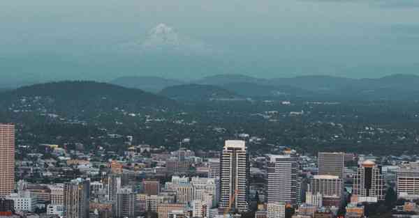 老王加速器安卓免费下载