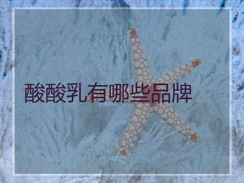 酸酸乳有哪些品牌