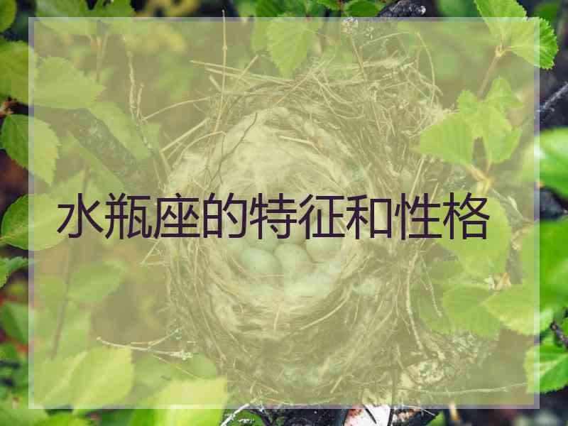 水瓶座的特征和性格