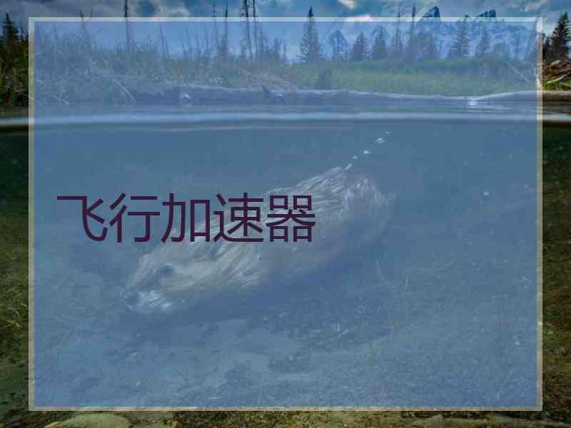 飞行加速器