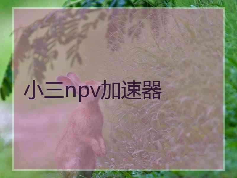 小三npv加速器