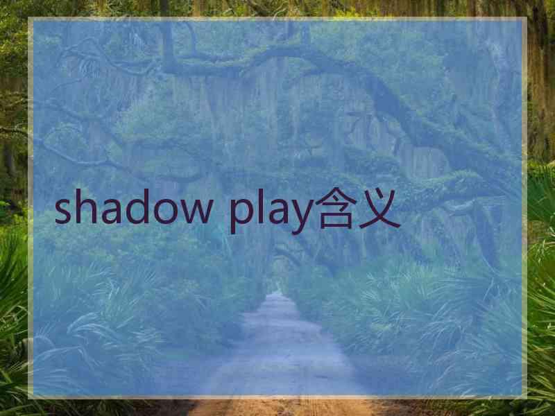 shadow play含义