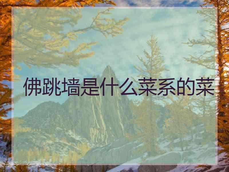 佛跳墙是什么菜系的菜