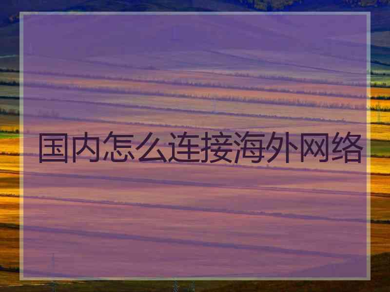 国内怎么连接海外网络