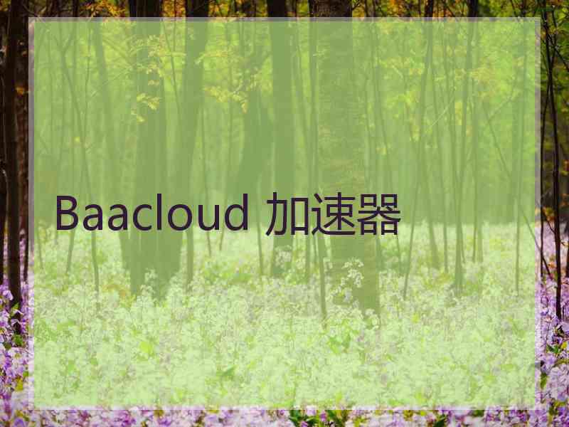 Baacloud 加速器
