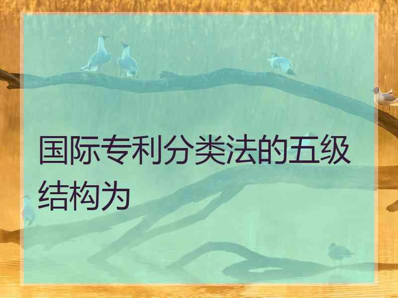 国际专利分类法的五级结构为