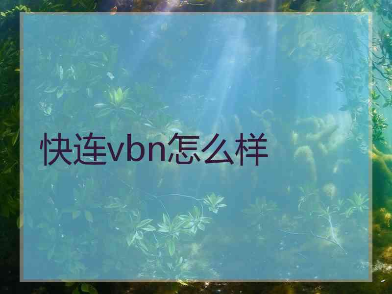 快连vbn怎么样
