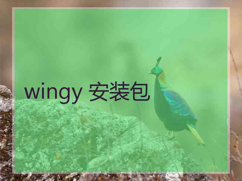 wingy 安装包